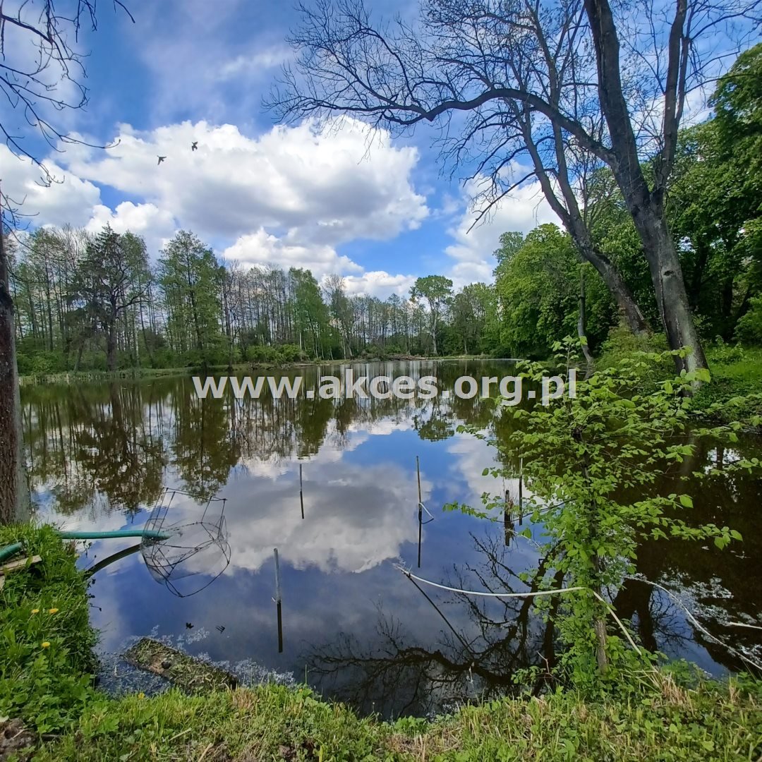 Działka inna na sprzedaż Warpęsy  16 600m2 Foto 12