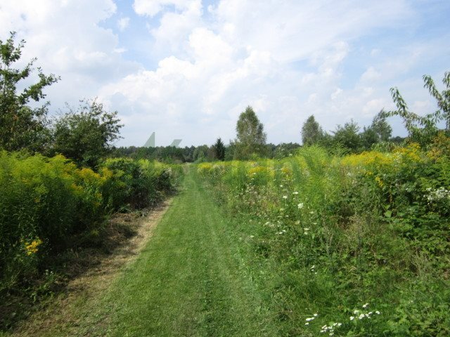 Działka budowlana na sprzedaż Łoś 1 200m2 Foto 1 Działka budowlana na sprzedaż Łoś 1 200m2 Foto 1