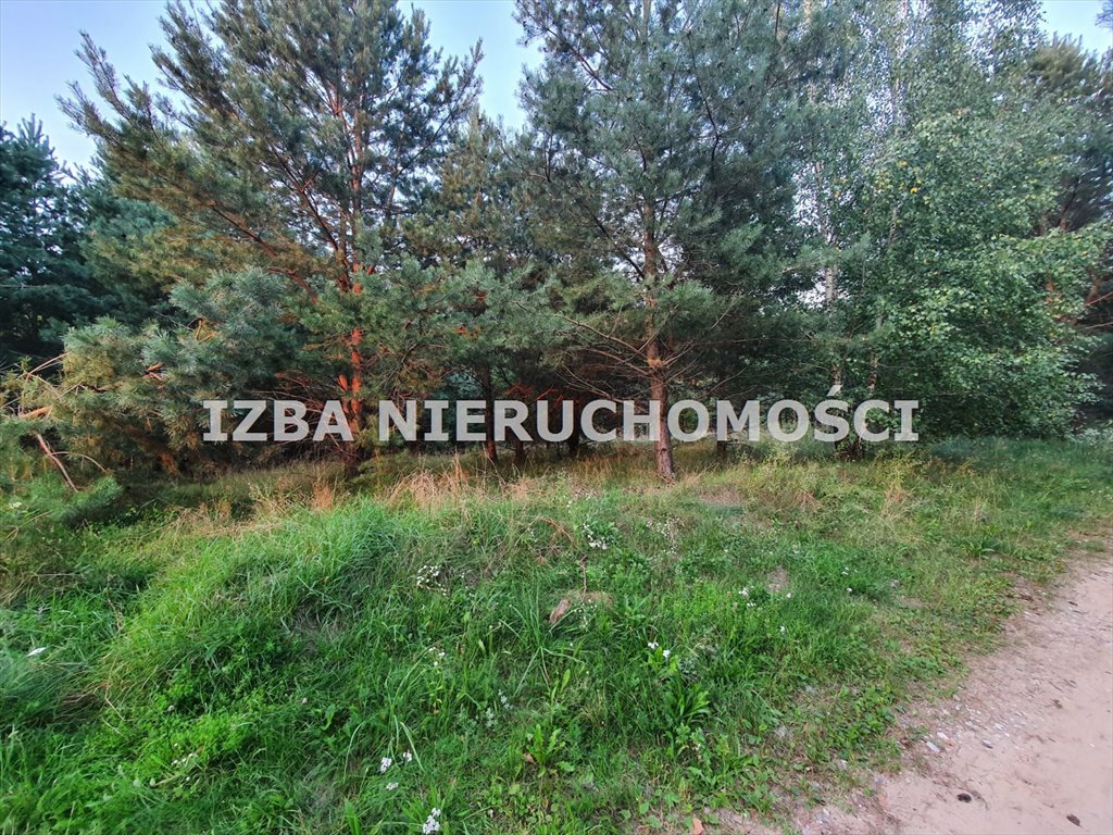 Działka rekreacyjna na sprzedaż Barany  3 001m2 Foto 9