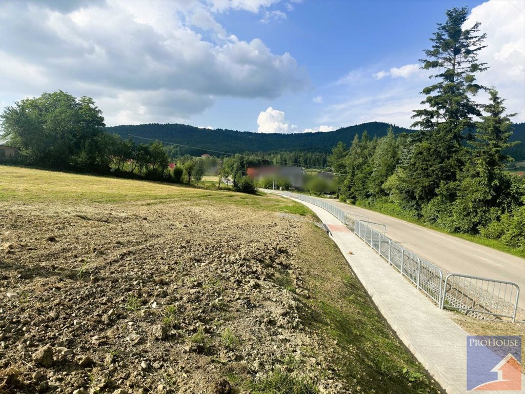 Działka budowlana na sprzedaż Pasierbiec  3 000m2 Foto 15