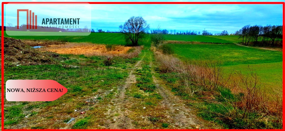 Działka przemysłowo-handlowa na sprzedaż Rgielsko  32 530m2 Foto 1