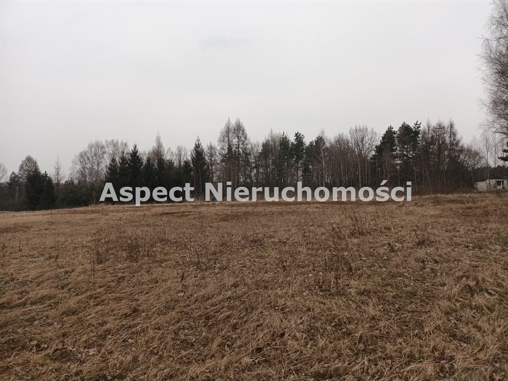 Działka budowlana na sprzedaż Rybnik, Popielów  1 637m2 Foto 4