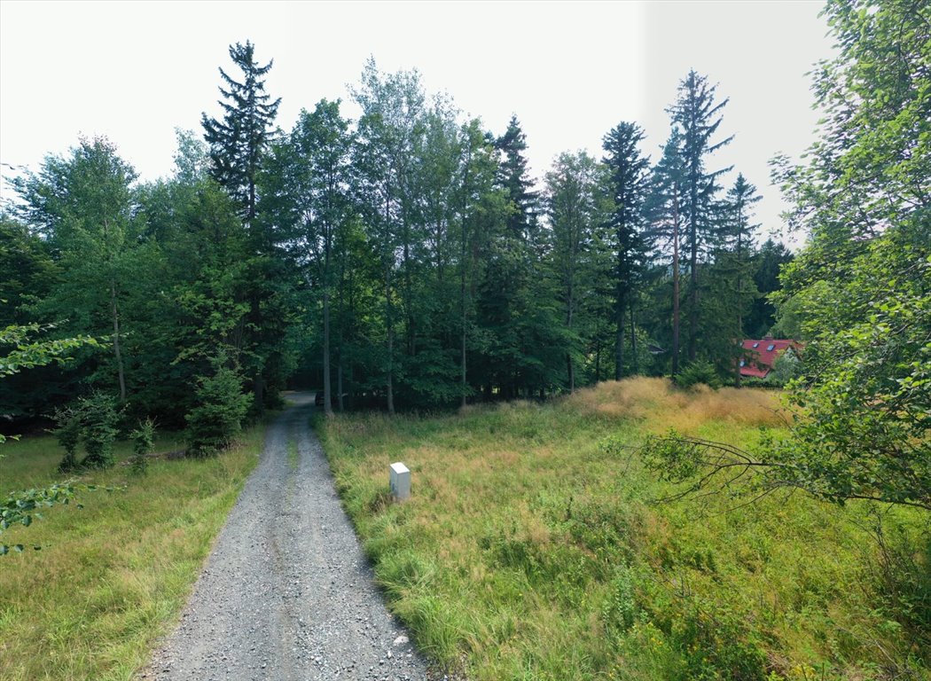 Działka budowlana na sprzedaż Szklarska Poręba, Huta, Kryształowa  1 006m2 Foto 12