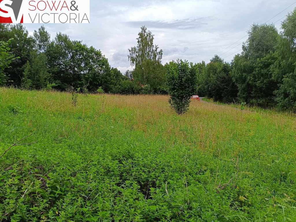 Działka inna na sprzedaż Olszyniec  4 900m2 Foto 7