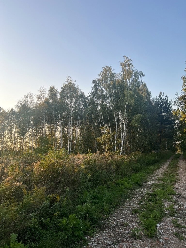 Działka inna na sprzedaż Józefów, Leonardów  1 178m2 Foto 5