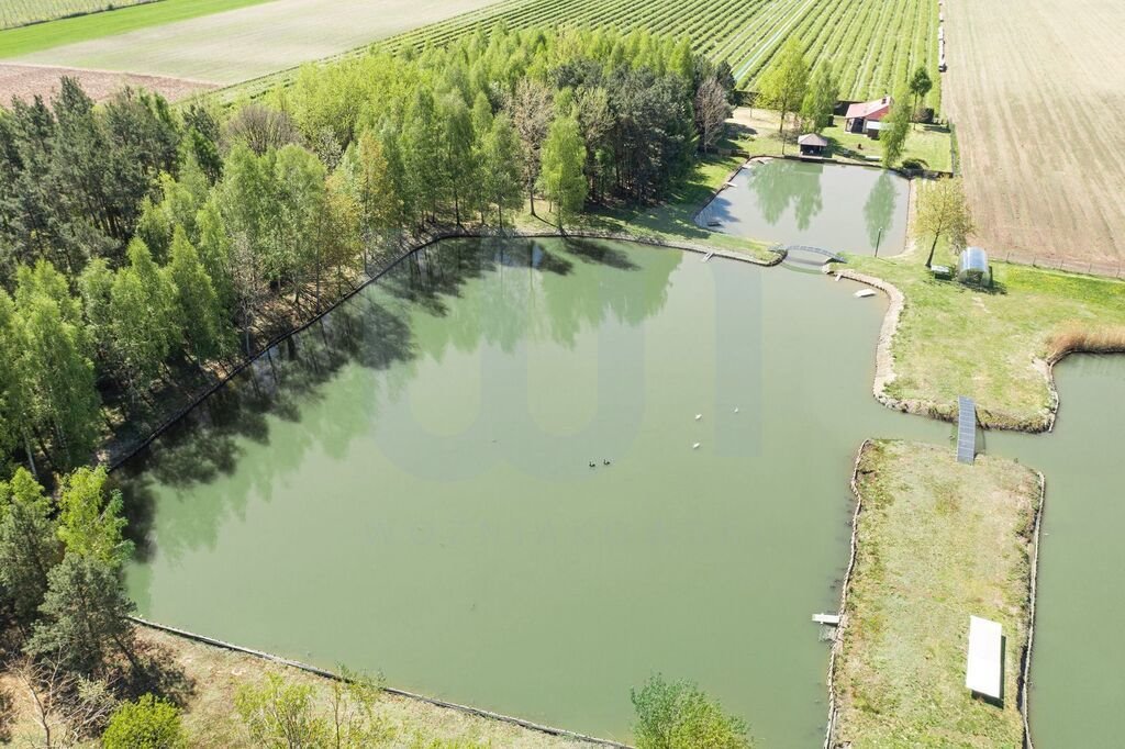 Działka siedliskowa na sprzedaż Zimnice  24 000m2 Foto 18