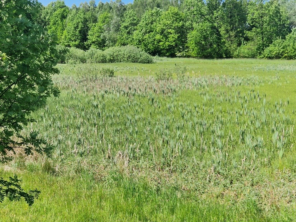 Działka budowlana na sprzedaż Szarłata, Spadzista  15 977m2 Foto 6