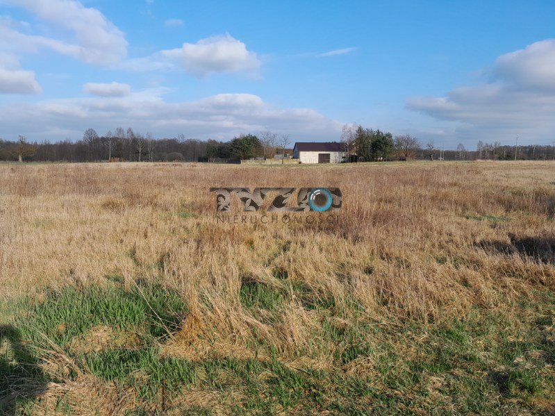 Działka budowlana na sprzedaż Nowiny, Nowiny, Nowiny  3 000m2 Foto 1