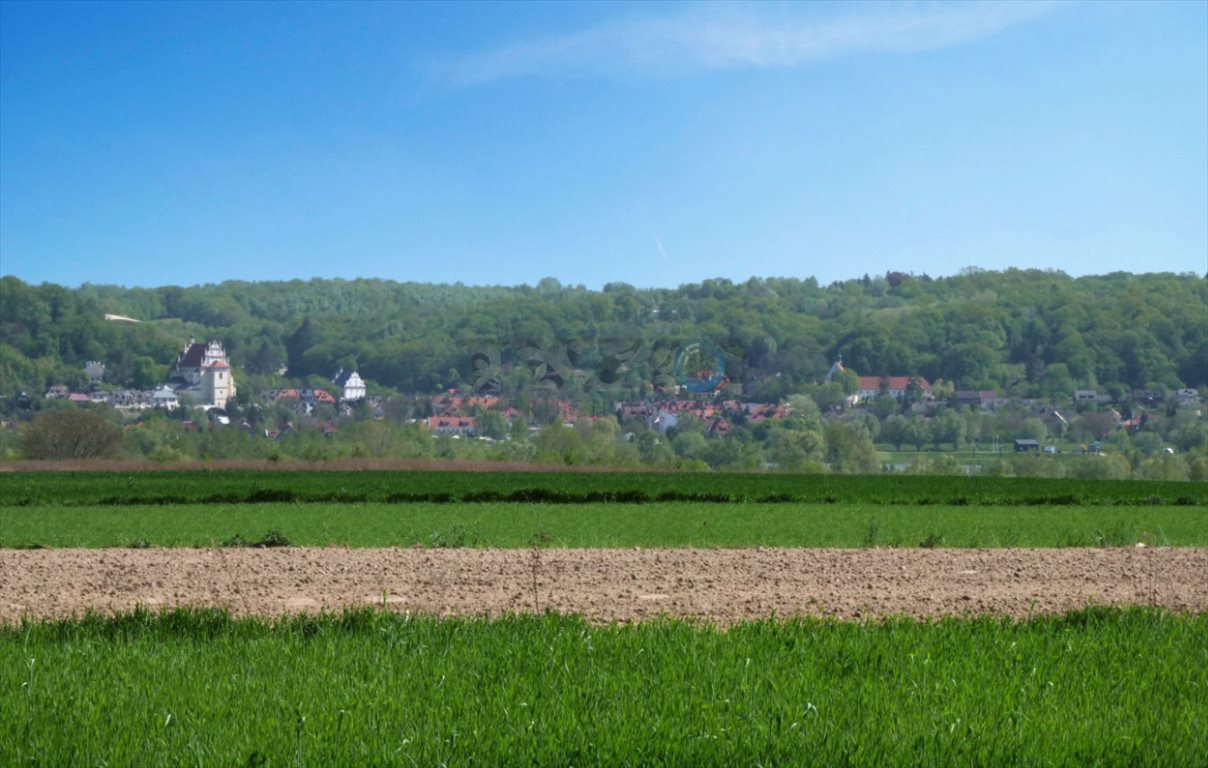 Działka budowlana na sprzedaż Wojszyn, Wojszyn  6 000m2 Foto 7