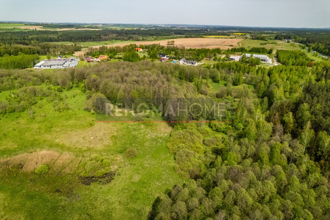 Działka budowlana na sprzedaż Barcikowo  77 826m2 Foto 5