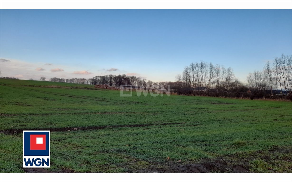 Działka budowlana na sprzedaż Krzeczyn Wielki, Krzeczyn Wielki  1 000m2 Foto 1