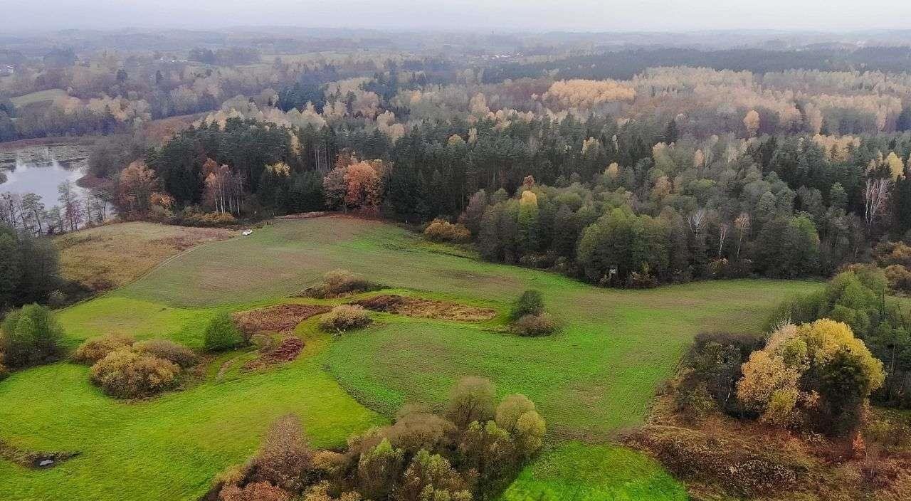 Działka rolna na sprzedaż Świętajno  3 010m2 Foto 2