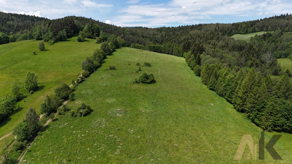 Działka budowlana na sprzedaż Łosie  1 400m2 Foto 12