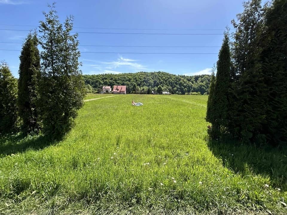 Działka budowlana na sprzedaż Rożnów  3 001m2 Foto 11