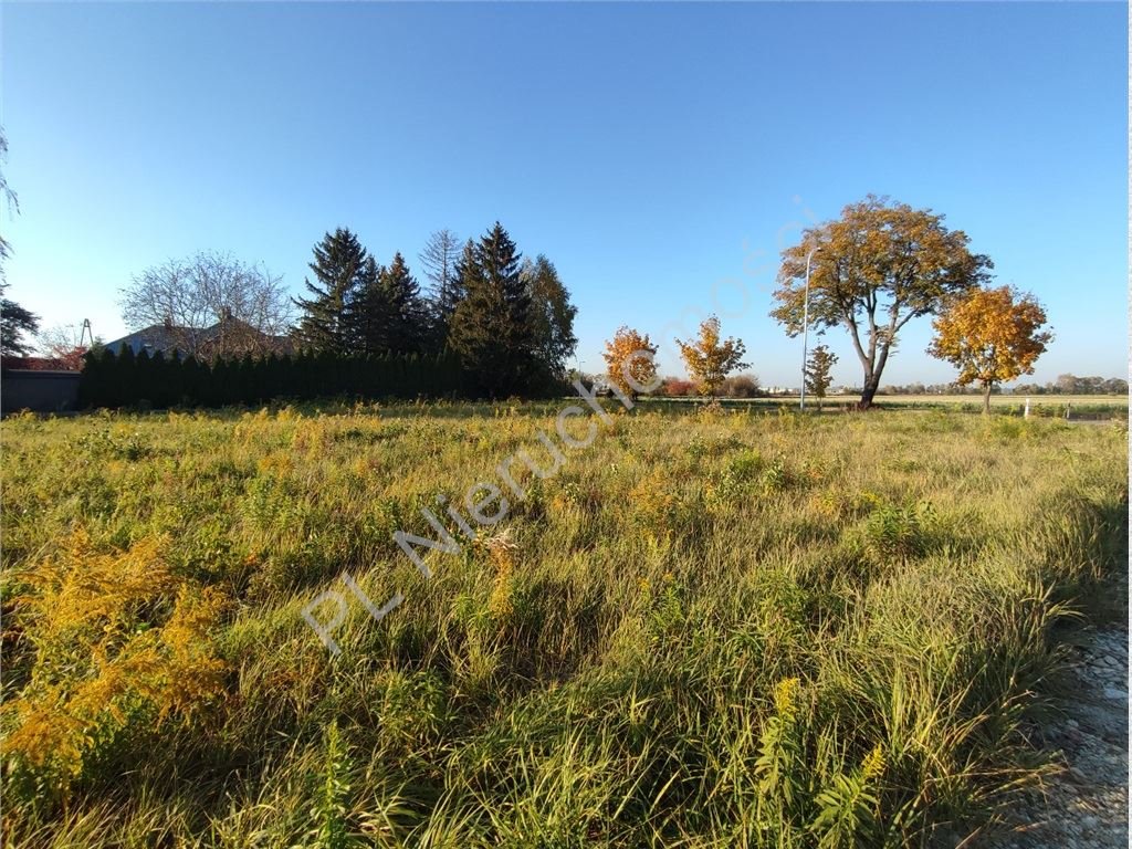 Działka budowlana na sprzedaż Rokitno  1 281m2 Foto 3