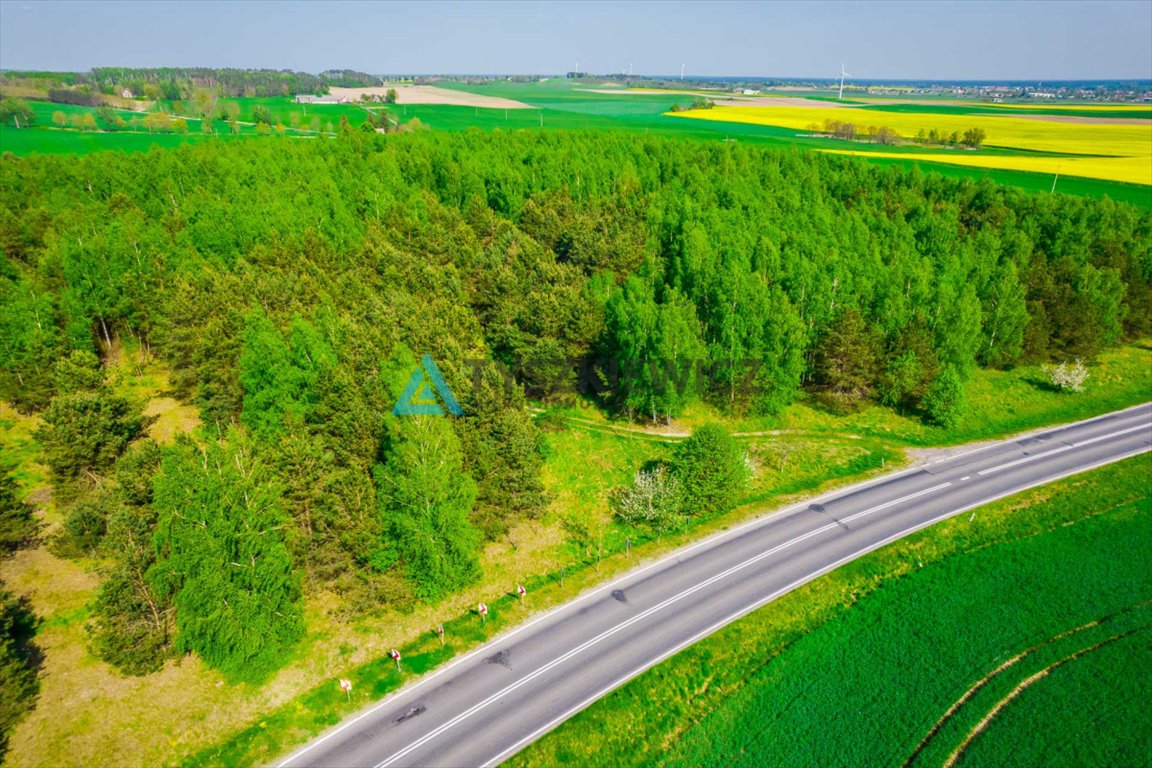 Działka rolna na sprzedaż Bladowo  78 200m2 Foto 9