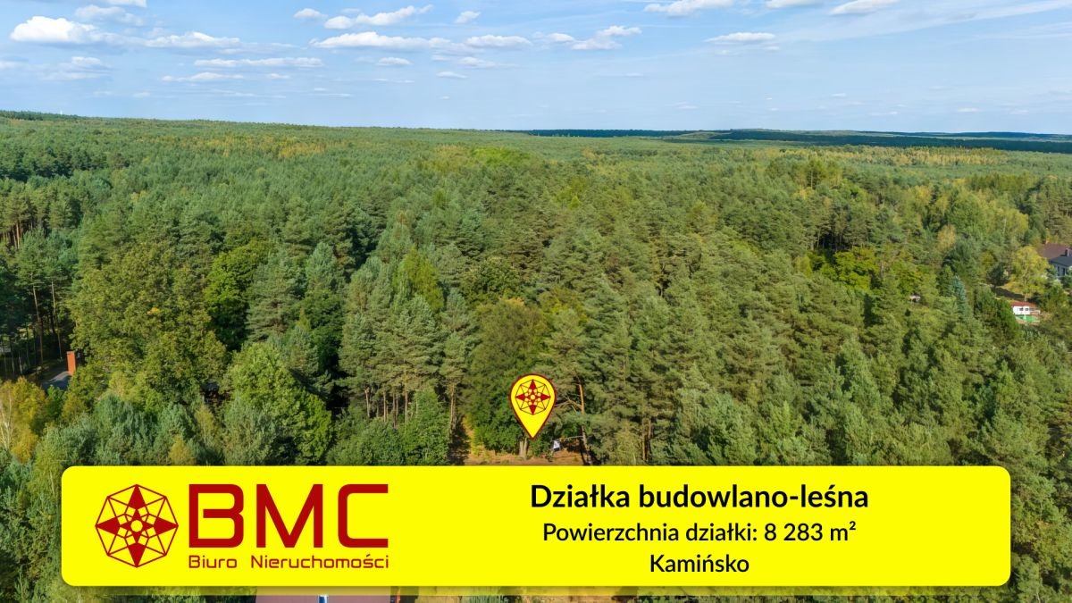 Sprzedam działkę 8283 m² z lasem i możliwością budowy Kamińsko  8 283m2 Foto 1
