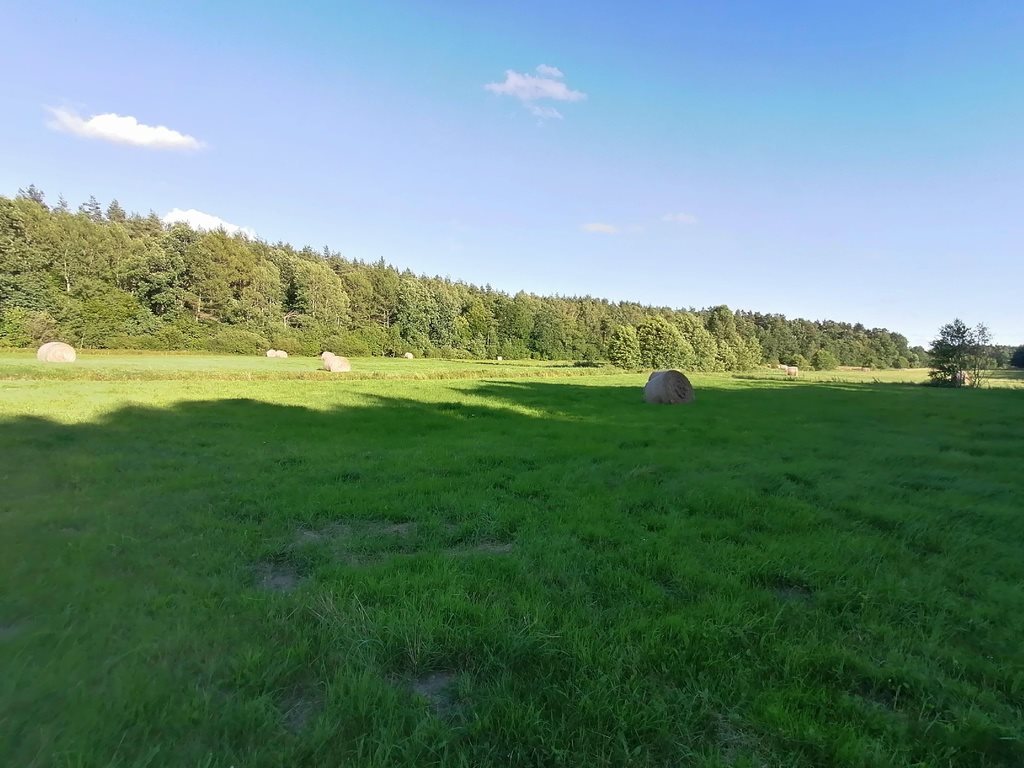 Działka rolna na sprzedaż Tawęcino  136 800m2 Foto 1