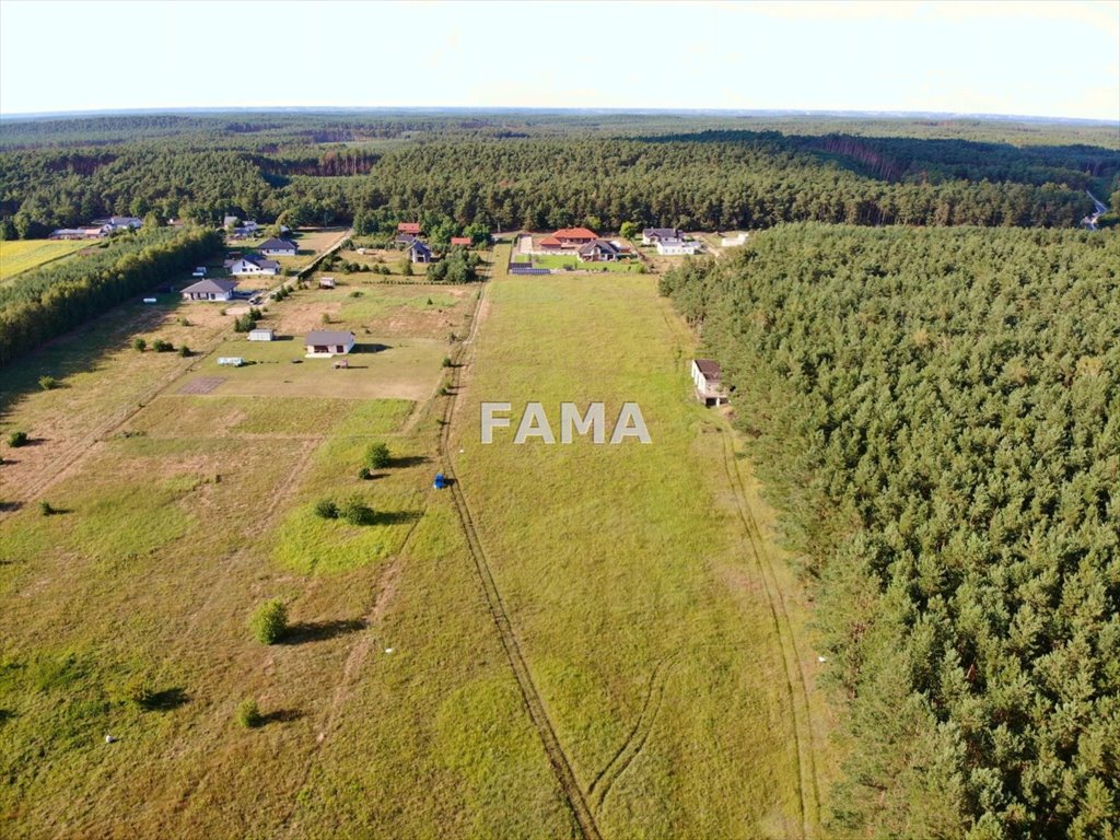 Działka budowlana na sprzedaż Kowal, Dębniaki  4 200m2 Foto 5