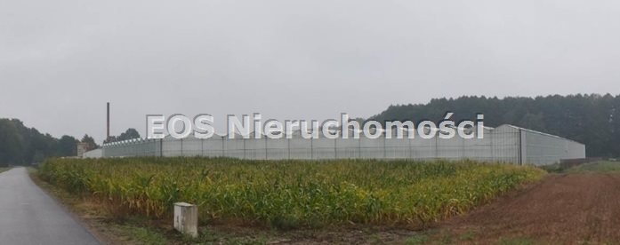 Polecam działki i budynki 25 632 m² w Zamętach Zamęty  25 633m2 Foto 1