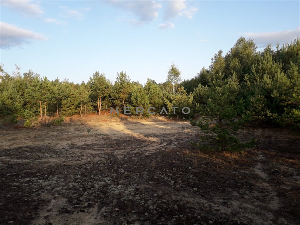 Działka budowlana na sprzedaż Pupkowizna  1 000m2 Foto 10