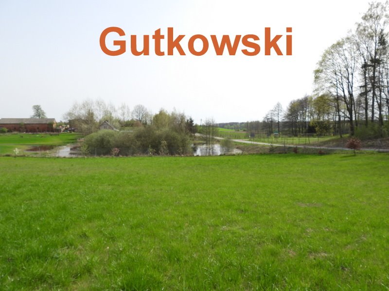 Działka siedliskowa na sprzedaż Nejdyki, gmina Iława, Nejdyki  3 006m2 Foto 5