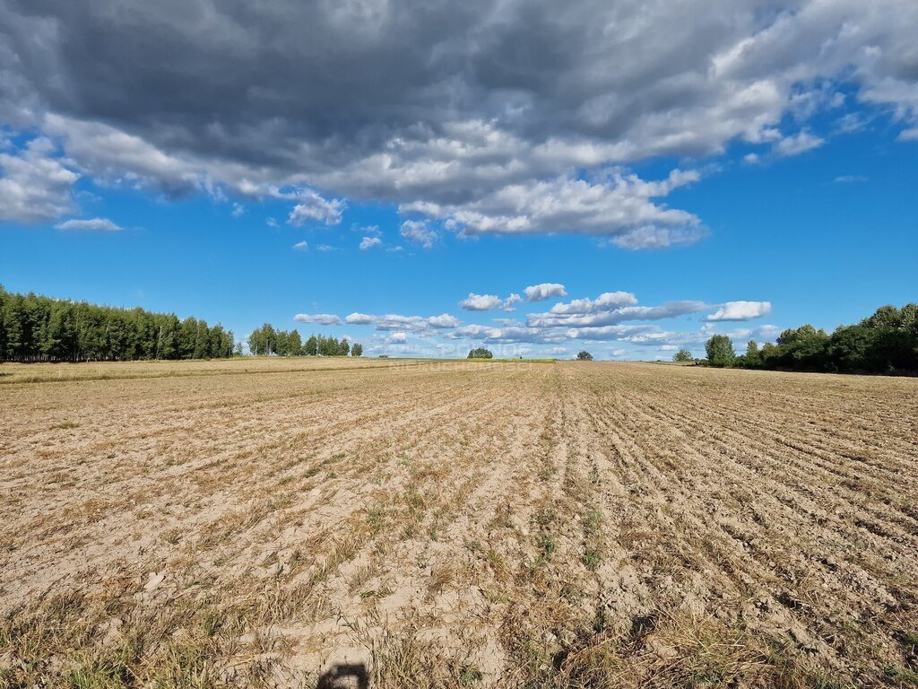 Działka rolna na sprzedaż Uhowo  9 290m2 Foto 4