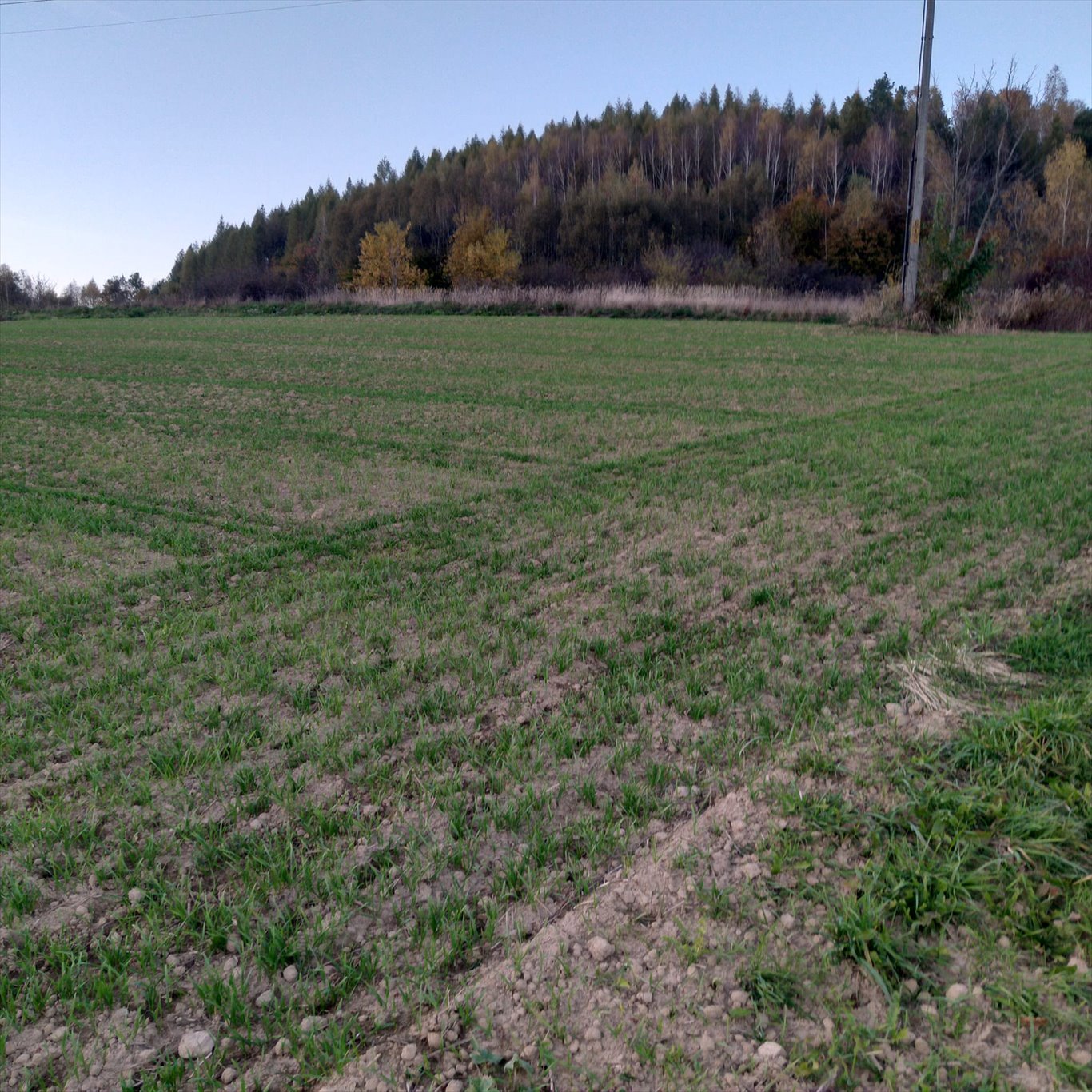 Działka rekreacyjna na sprzedaż Przedmieście Dubieckie  2 000m2 Foto 2