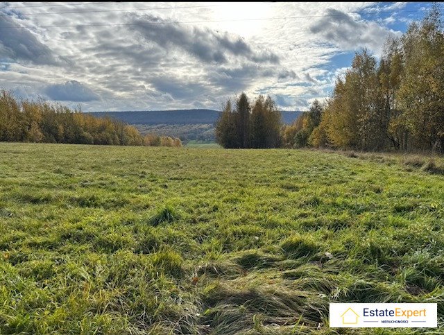 Działka rolna na sprzedaż Wiącka, Wiącka, 118  20 000m2 Foto 5