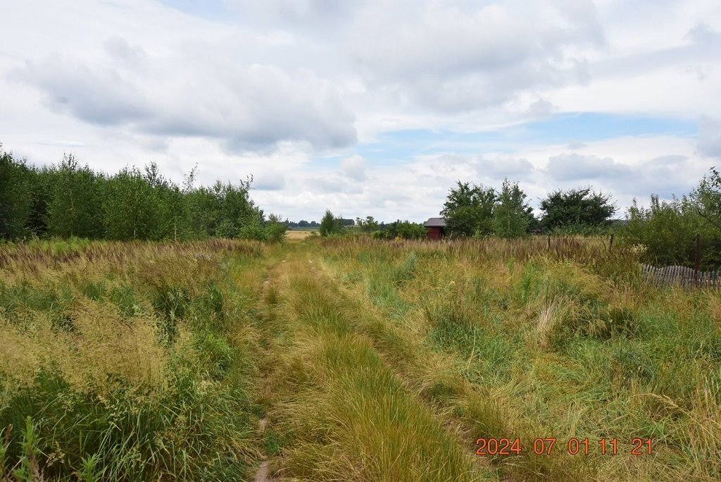 Działka budowlana na sprzedaż Syców, Ferdynanda Ruszczyca  5 041m2 Foto 3