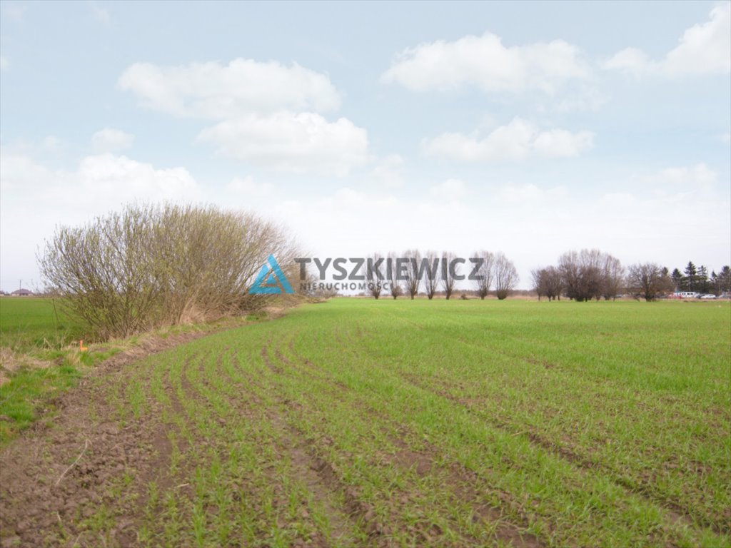 Działka przemysłowo-handlowa na sprzedaż Nowy Dwór Gdański, Okopowa  1 206m2 Foto 2