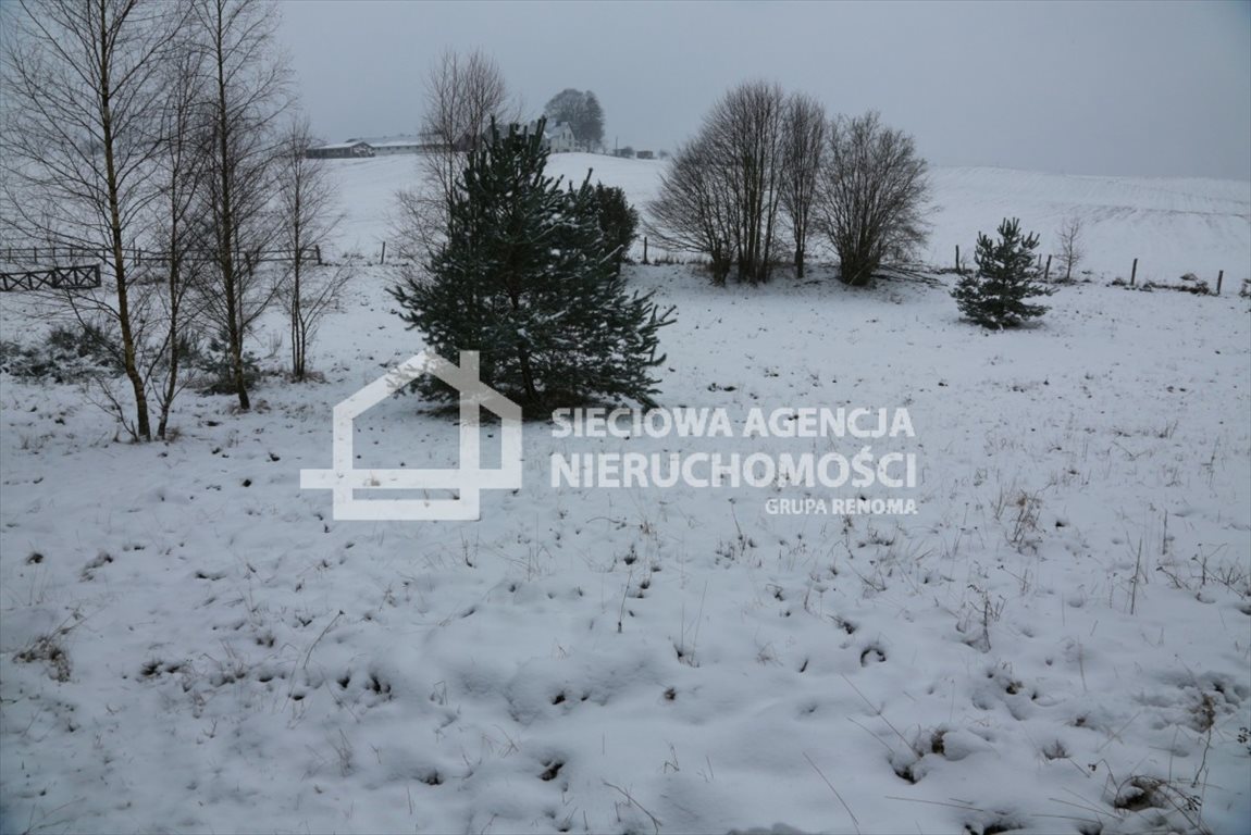 Działka rolna na sprzedaż Niesiołowice, Rzepiska  10 000m2 Foto 1