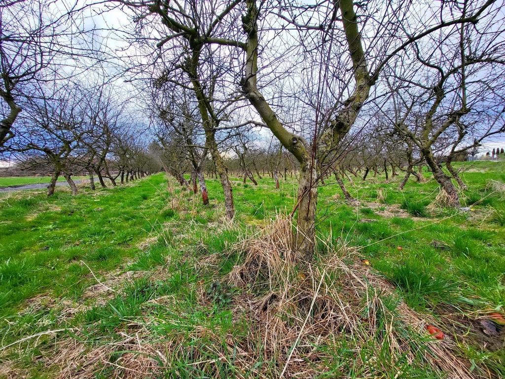 Inwestycyjna działka w Motyczu z mediami i możliwością podziału Motycz  6 300m2 Foto 1