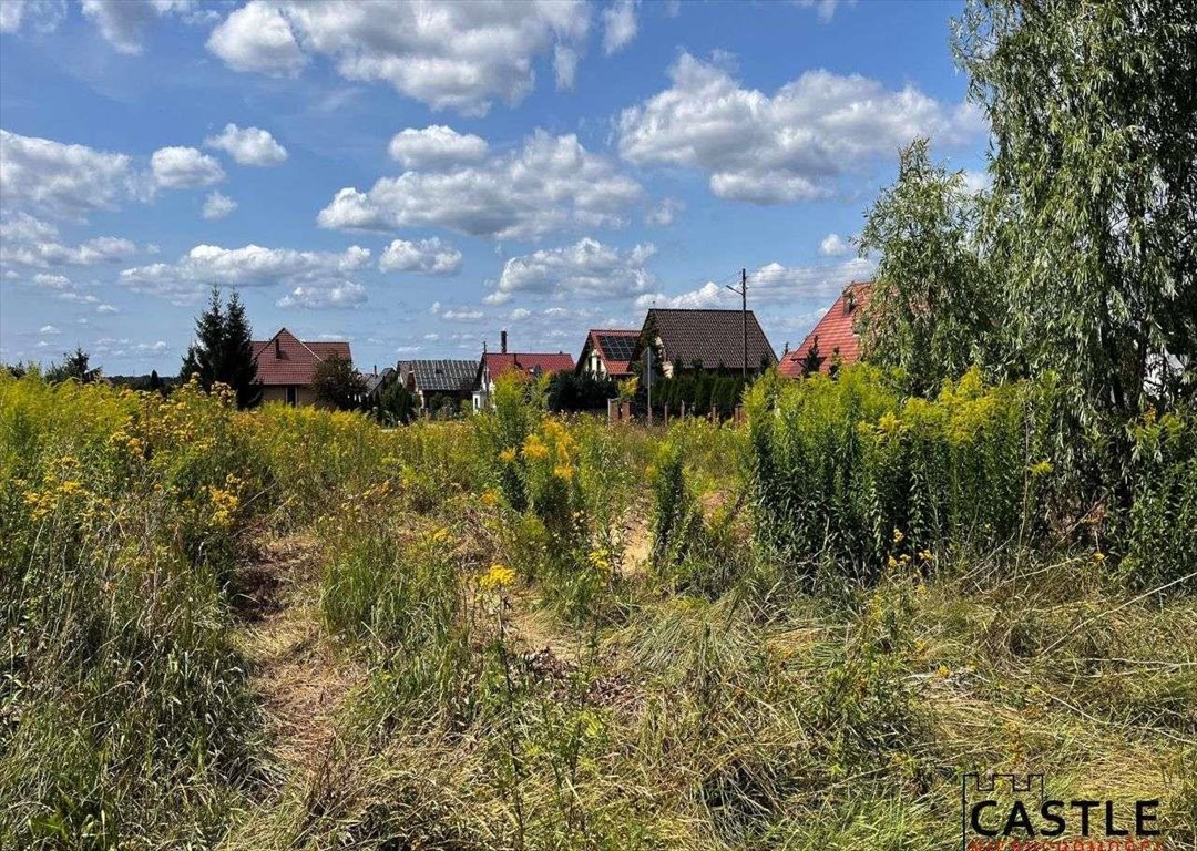 Działka budowlana na sprzedaż Bolewice  1 000m2 Foto 3