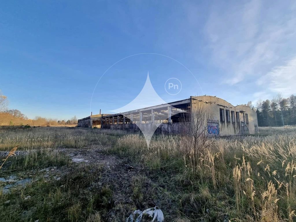 Działka przemysłowa 48 tys. m² z halą w Płaczkowie Płaczków  48 213m2 Foto 1