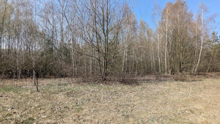 Zapraszam do obejrzenia działki 1316 m² z mediami i dobrym dojazdem Kotorydz  1 316m2 Foto 1
