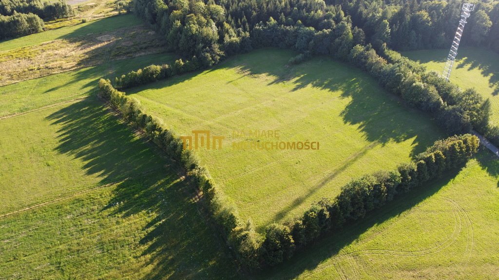 Działka budowlana na sprzedaż Lecka  22 027m2 Foto 4