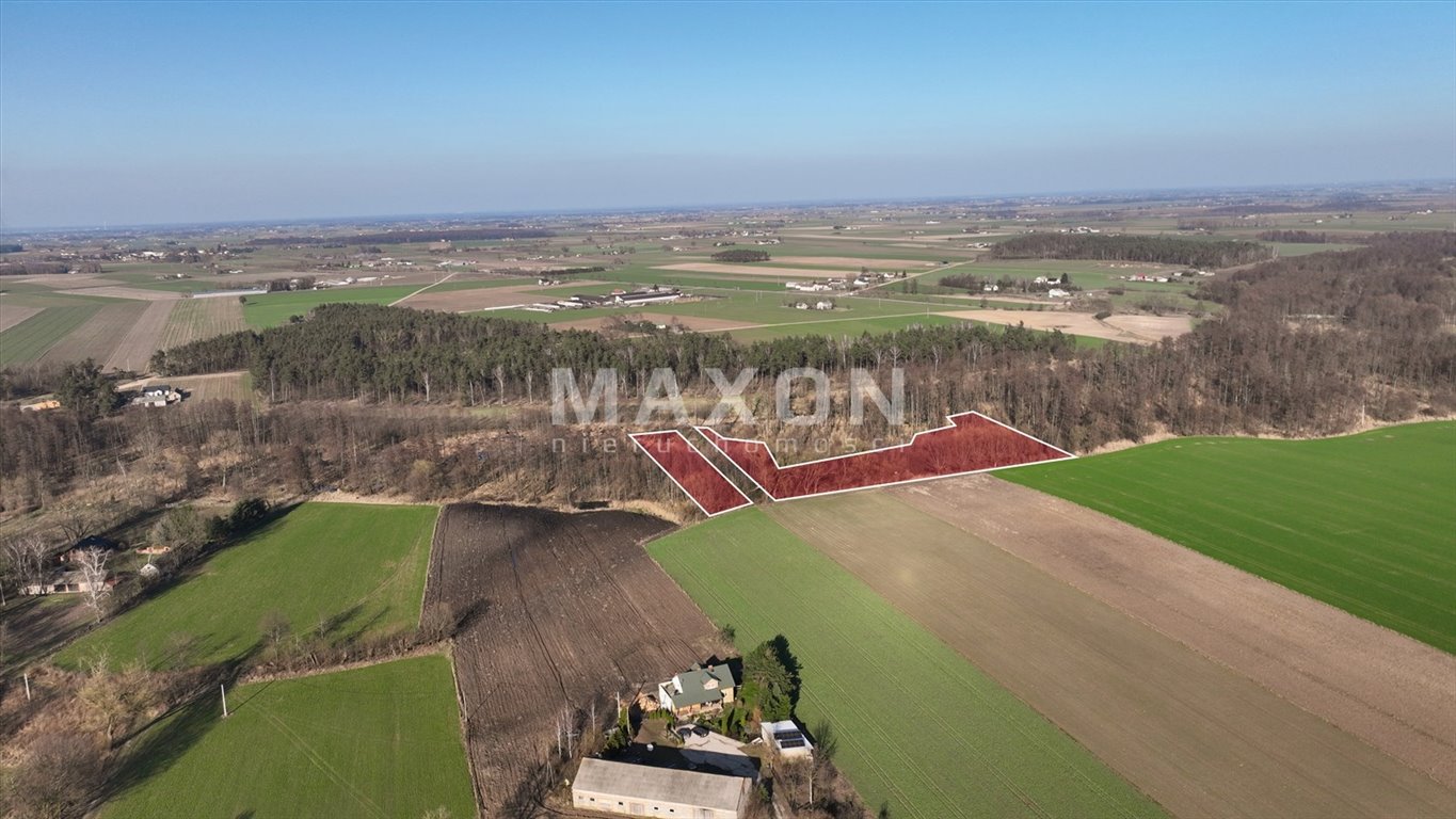 Działka rolna na sprzedaż Bylino  191 100m2 Foto 6