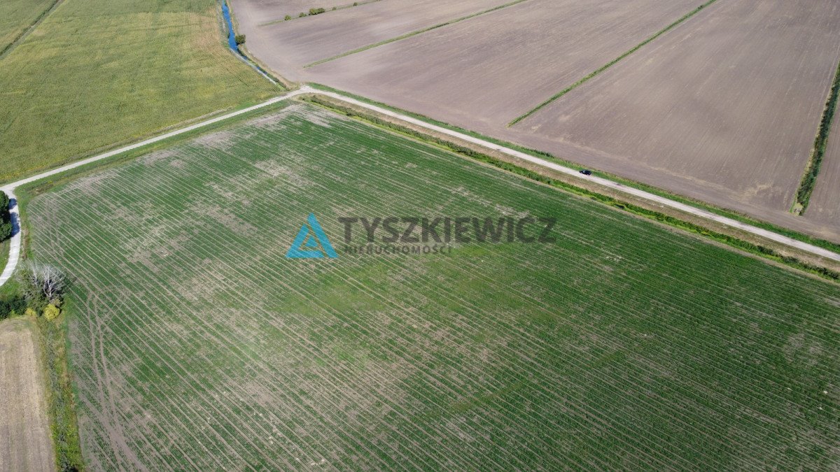 Działka rolna na sprzedaż Rokitnica, Ogrodowa  3 270m2 Foto 6