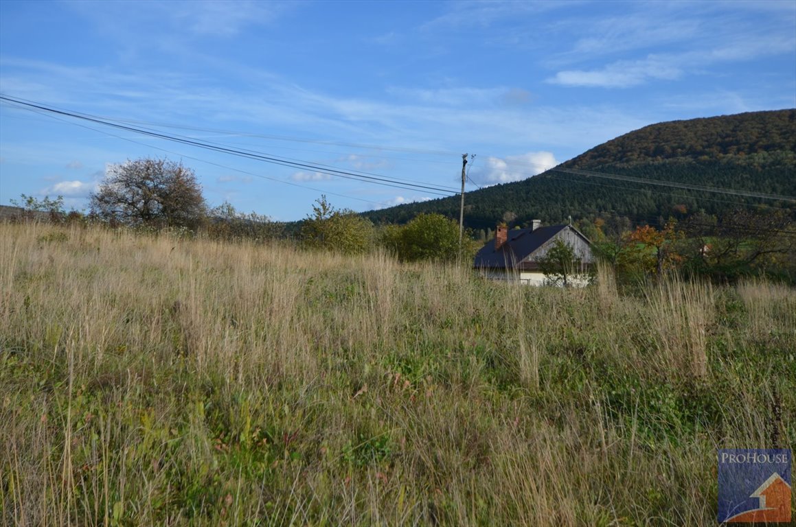 Działka budowlana na sprzedaż Kostrza  5 900m2 Foto 14