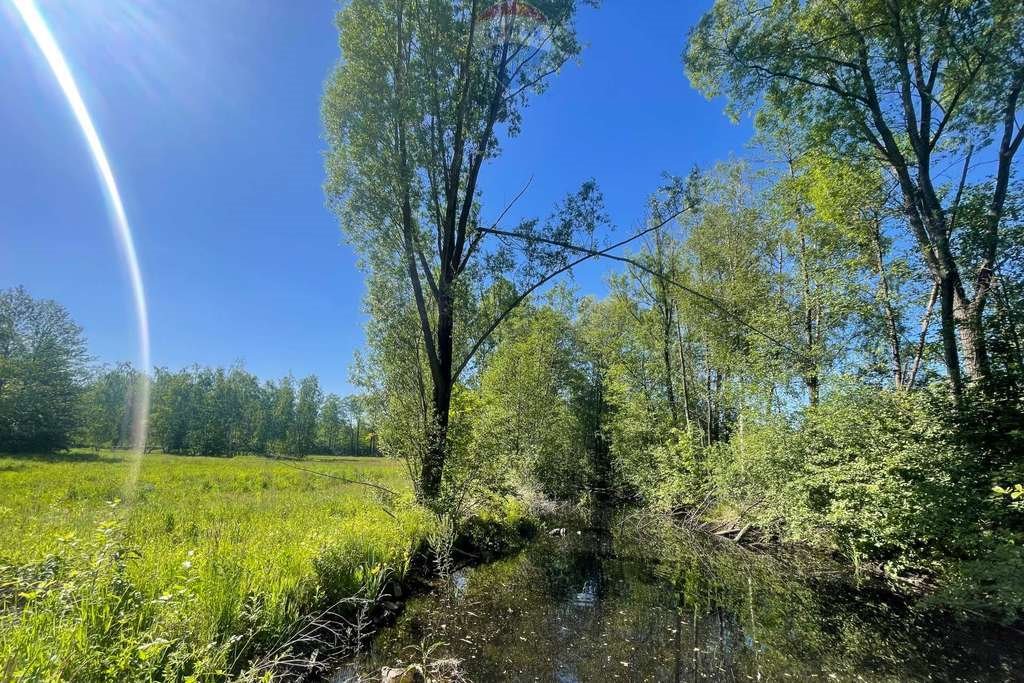 Działka budowlana na sprzedaż Budy Michałowskie, Karliczka  1 495m2 Foto 9