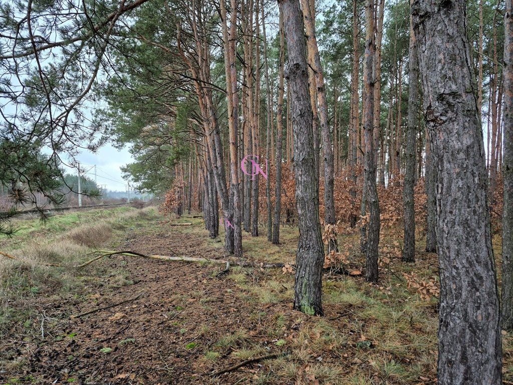 Działka inna na sprzedaż Odolion  2 590m2 Foto 1