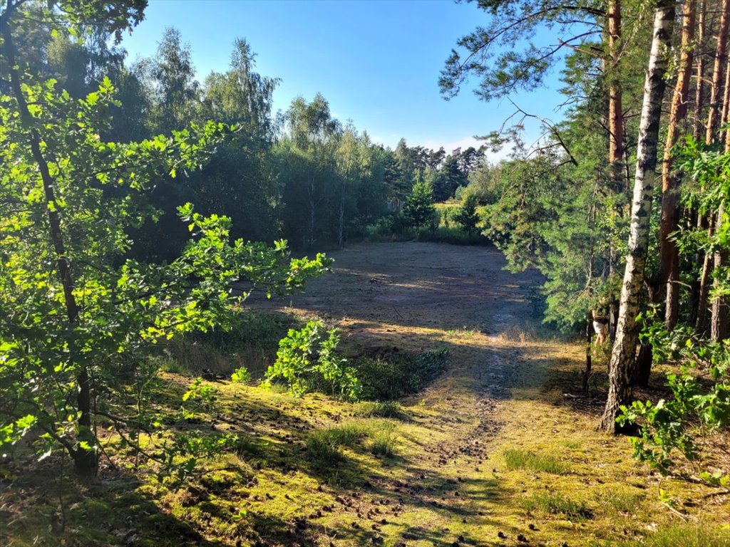 Działka budowlana na sprzedaż Kazuń-Bielany  1 000m2 Foto 6