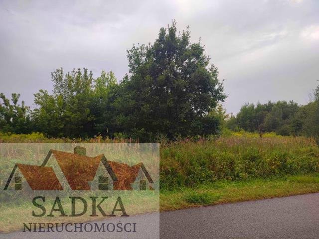 Działka budowlana na sprzedaż Budy Zosine, Generała Skokowskiego  8 765m2 Foto 4