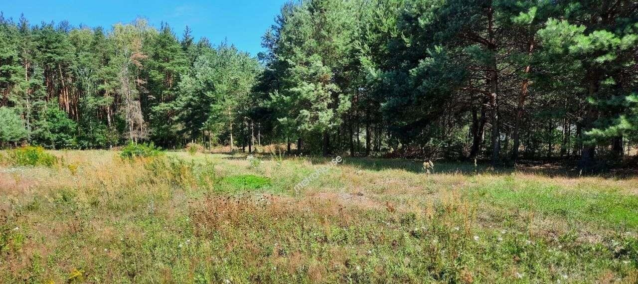 Działka budowlana na sprzedaż Adamów-Wieś  1 870m2 Foto 4