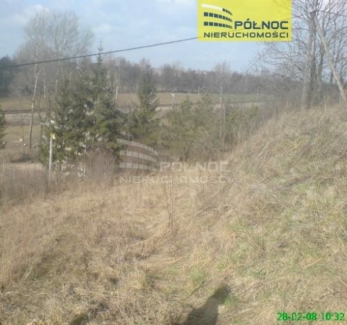 Działka budowlana na sprzedaż Orłów  10 271m2 Foto 4