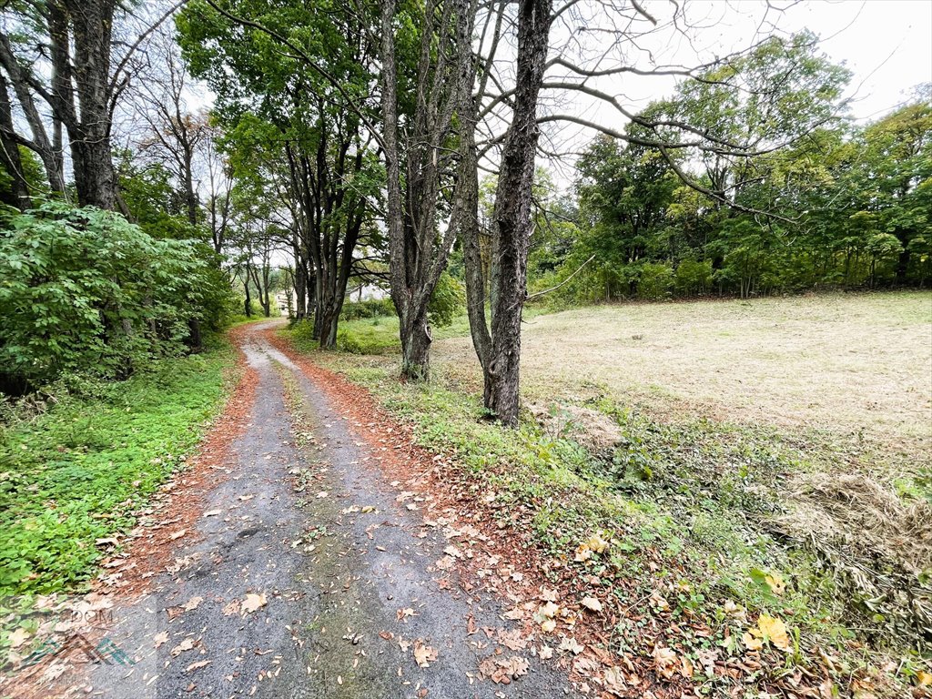 Działka budowlana na sprzedaż Klucze  2 196m2 Foto 5