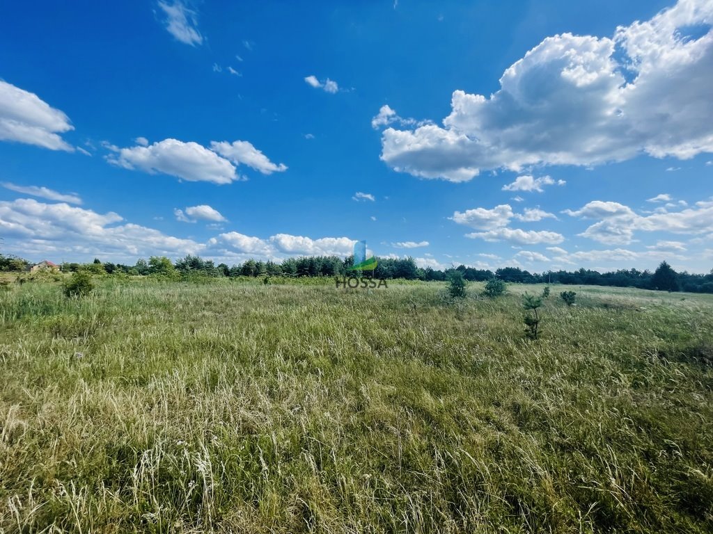 Działka budowlana na sprzedaż Jabłonka  2 114m2 Foto 3