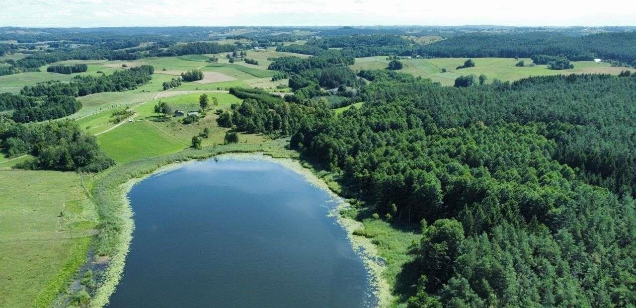 Działka rolna na sprzedaż Jeleniewo  2 800m2 Foto 3