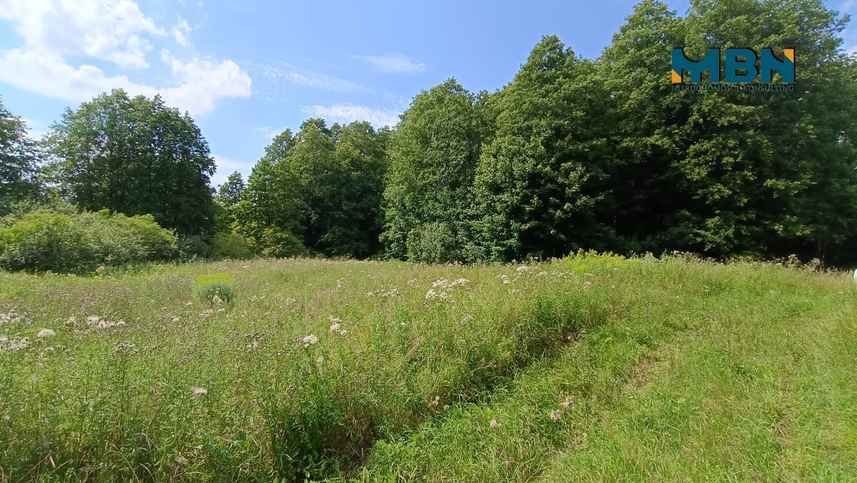 Działka rolna na sprzedaż Pozezdrze, Pieczarki  1 300m2 Foto 13